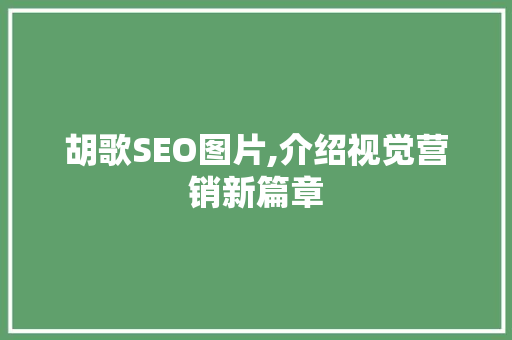胡歌SEO图片,介绍视觉营销新篇章
