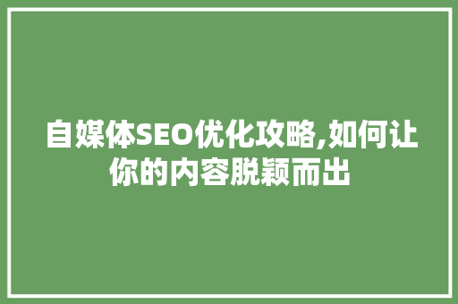 自媒体SEO优化攻略,如何让你的内容脱颖而出