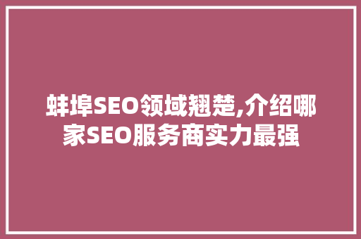 蚌埠SEO领域翘楚,介绍哪家SEO服务商实力最强