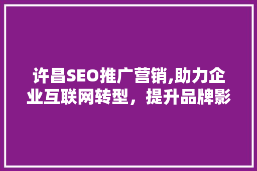 许昌SEO推广营销,助力企业互联网转型，提升品牌影响力