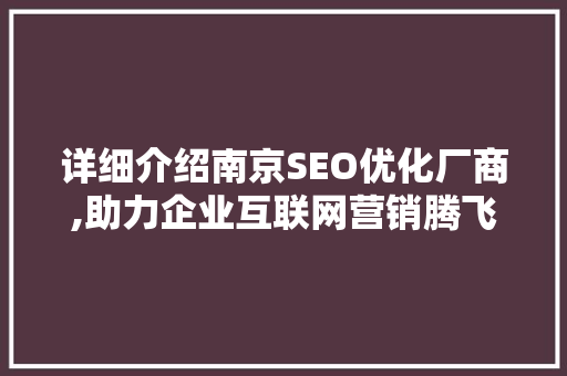 详细介绍南京SEO优化厂商,助力企业互联网营销腾飞  第1张