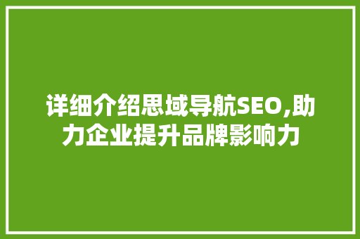 详细介绍思域导航SEO,助力企业提升品牌影响力