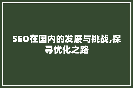 SEO在国内的发展与挑战,探寻优化之路