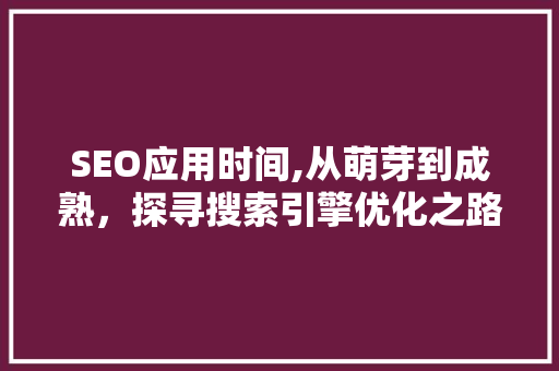 SEO应用时间,从萌芽到成熟，探寻搜索引擎优化之路