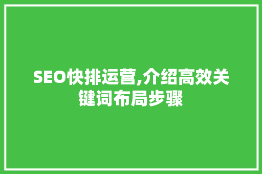 SEO快排运营,介绍高效关键词布局步骤
