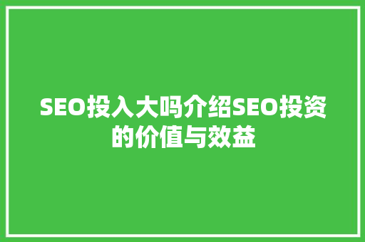 SEO投入大吗介绍SEO投资的价值与效益