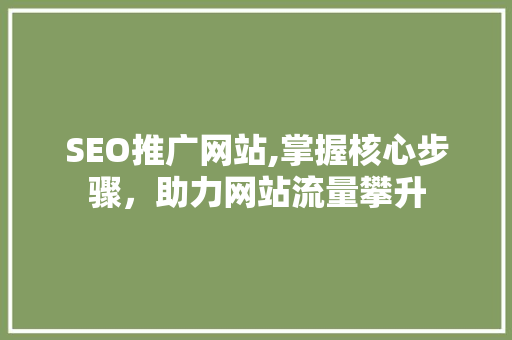 SEO推广网站,掌握核心步骤，助力网站流量攀升