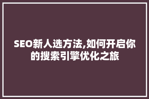 SEO新人选方法,如何开启你的搜索引擎优化之旅