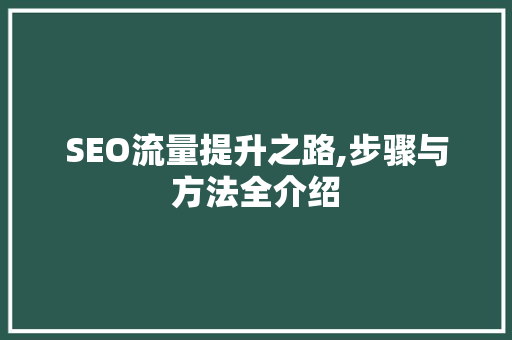 SEO流量提升之路,步骤与方法全介绍