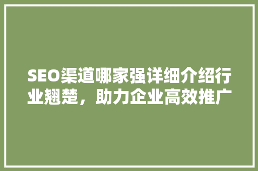 SEO渠道哪家强详细介绍行业翘楚，助力企业高效推广