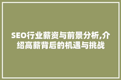 SEO行业薪资与前景分析,介绍高薪背后的机遇与挑战