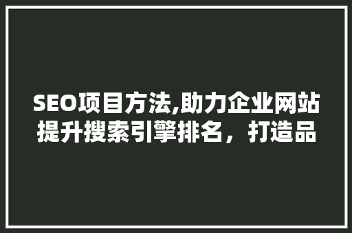 SEO项目方法,助力企业网站提升搜索引擎排名，打造品牌影响力