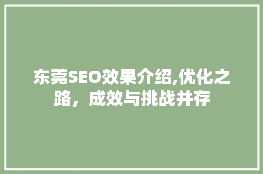 东莞SEO效果介绍,优化之路，成效与挑战并存