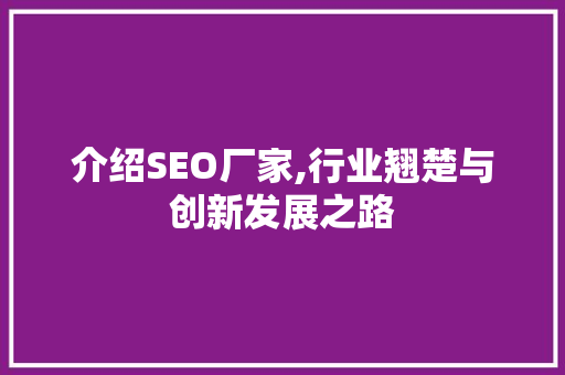 介绍SEO厂家,行业翘楚与创新发展之路