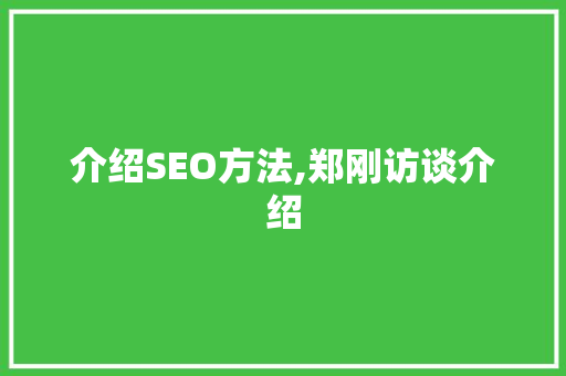 介绍SEO方法,郑刚访谈介绍