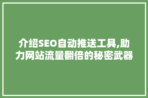 介绍SEO自动推送工具,助力网站流量翻倍的秘密武器