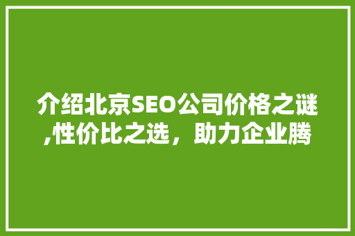 介绍北京SEO公司价格之谜,性价比之选，助力企业腾飞