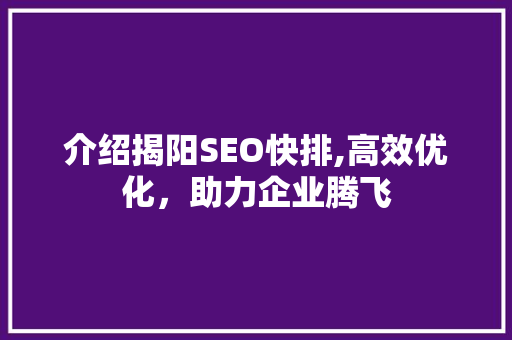介绍揭阳SEO快排,高效优化，助力企业腾飞