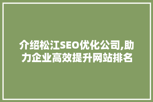 介绍松江SEO优化公司,助力企业高效提升网站排名