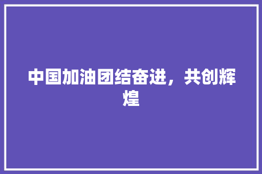 中国加油团结奋进，共创辉煌