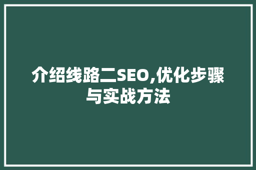 介绍线路二SEO,优化步骤与实战方法