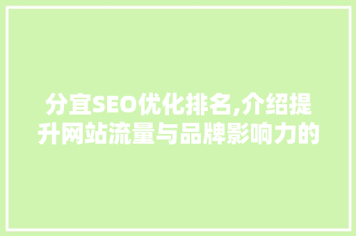 分宜SEO优化排名,介绍提升网站流量与品牌影响力的方法