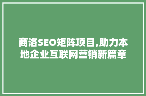 商洛SEO矩阵项目,助力本地企业互联网营销新篇章