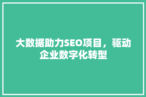 大数据助力SEO项目，驱动企业数字化转型
