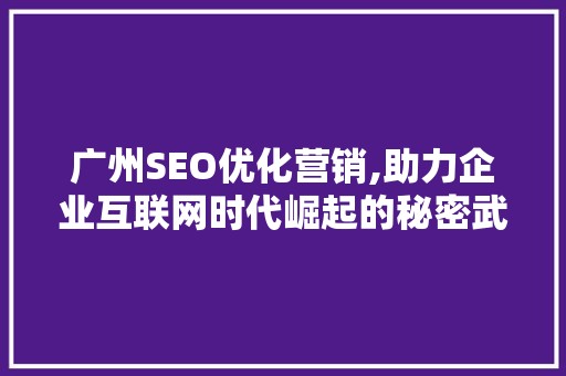 广州SEO优化营销,助力企业互联网时代崛起的秘密武器