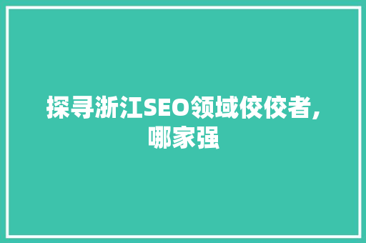 探寻浙江SEO领域佼佼者,哪家强