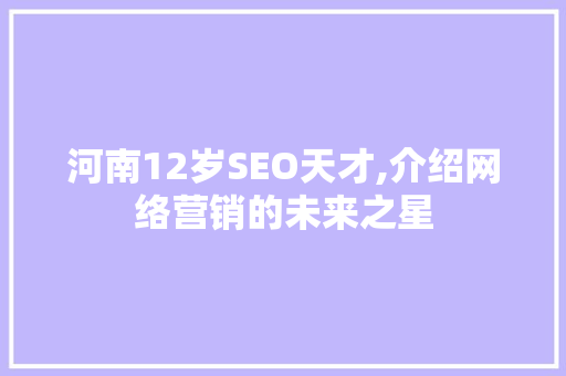 河南12岁SEO天才,介绍网络营销的未来之星