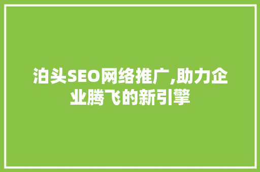 泊头SEO网络推广,助力企业腾飞的新引擎