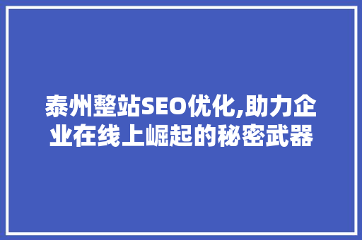 泰州整站SEO优化,助力企业在线上崛起的秘密武器