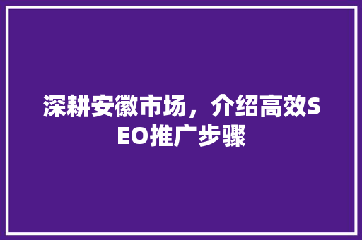 深耕安徽市场，介绍高效SEO推广步骤