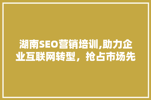 湖南SEO营销培训,助力企业互联网转型，抢占市场先机