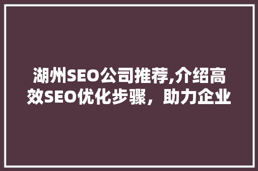 湖州SEO公司推荐,介绍高效SEO优化步骤，助力企业互联网营销腾飞