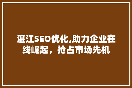 湛江SEO优化,助力企业在线崛起，抢占市场先机