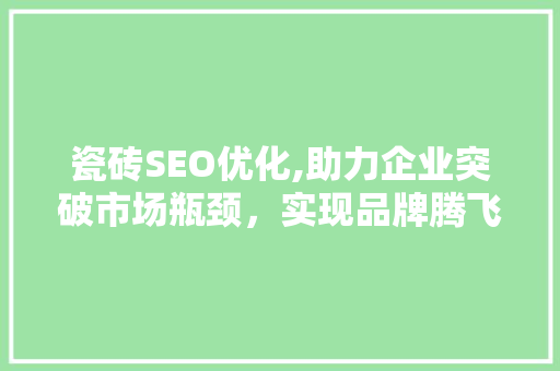 瓷砖SEO优化,助力企业突破市场瓶颈，实现品牌腾飞