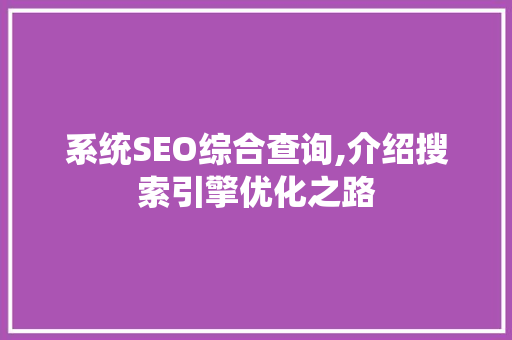 系统SEO综合查询,介绍搜索引擎优化之路