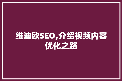 维迪欧SEO,介绍视频内容优化之路