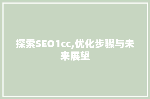 探索SEO1cc,优化步骤与未来展望