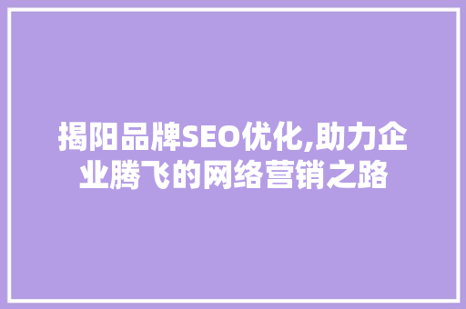 揭阳品牌SEO优化,助力企业腾飞的网络营销之路