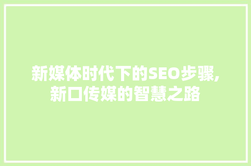 新媒体时代下的SEO步骤,新口传媒的智慧之路