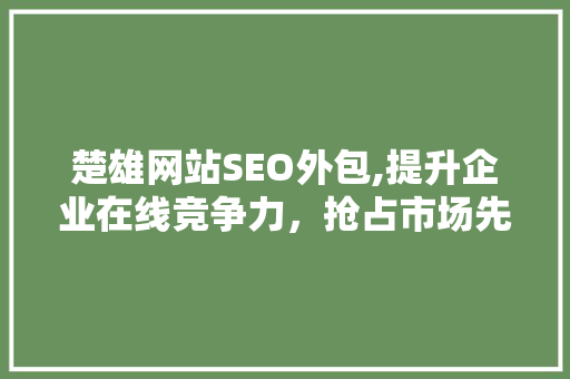 楚雄网站SEO外包,提升企业在线竞争力，抢占市场先机  第1张