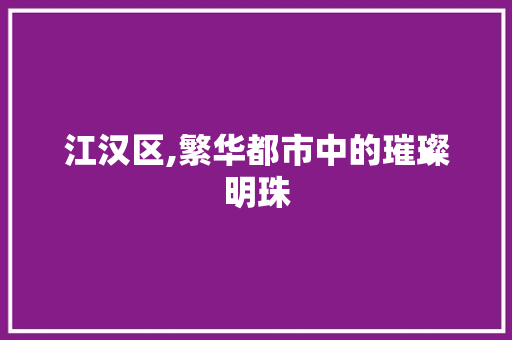 江汉区,繁华都市中的璀璨明珠