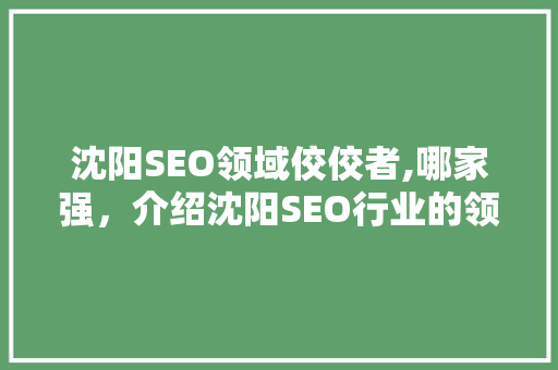 沈阳SEO领域佼佼者,哪家强，介绍沈阳SEO行业的领军人物