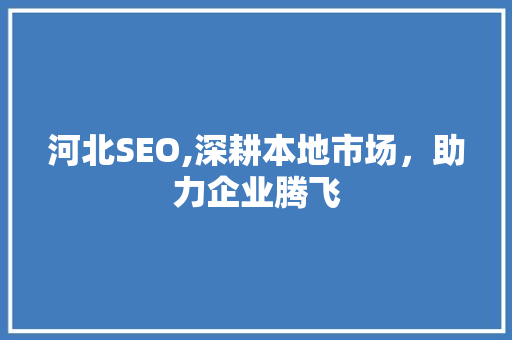 河北SEO,深耕本地市场，助力企业腾飞