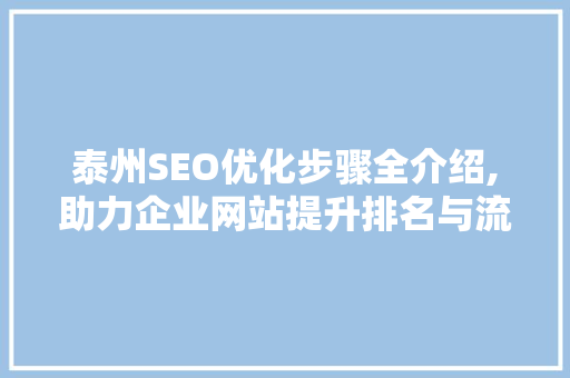 泰州SEO优化步骤全介绍,助力企业网站提升排名与流量