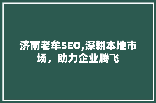 济南老牟SEO,深耕本地市场，助力企业腾飞
