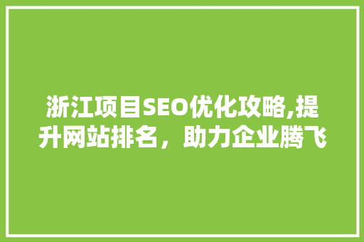 浙江项目SEO优化攻略,提升网站排名，助力企业腾飞